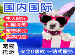 禄口航空空运国际宠物托运 【国